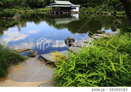 初夏の清澄庭園 初夏の清澄庭園 56260162