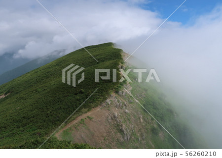 稜線の景色 56260210