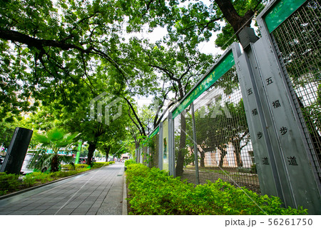 台湾 高齢者 年配 56261750