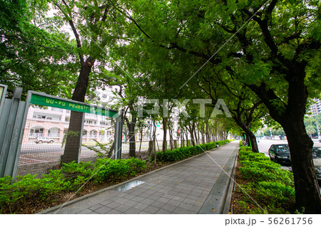 アジア人 アジアン アジア風 56261756