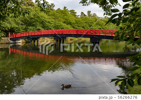 弘前城　春陽門　青森県　弘前市 56266276