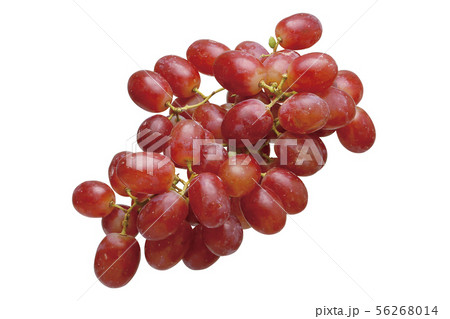 クリムゾン05（パス付） 56268014