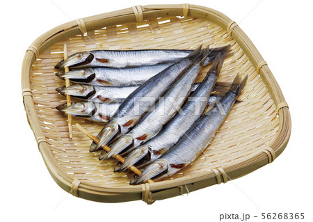 メザシ09（パス付） 56268365