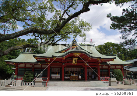 西宮神社・拝殿・本殿 56269961