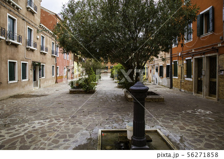 Murano island in the Venetian lagoon Murano island in the Venetian lagoon 56271858