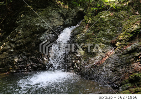 愛媛県大洲市 白滝公園 都の滝 愛媛県大洲市 白滝公園 都の滝 56271966