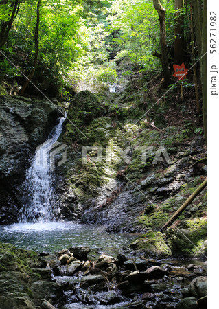 愛媛県大洲市　白滝公園　都の滝 56271982