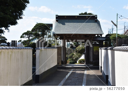 遊行寺　藤沢市 56277050