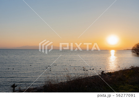 琵琶湖 長浜 さざなみ街道 夕方2 琵琶湖 長浜 さざなみ街道 夕方2 56277091