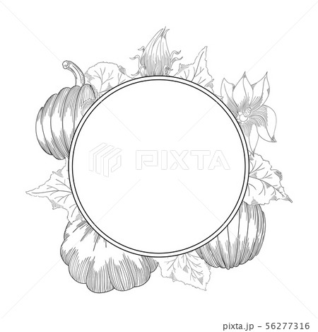 Pumpkin wreath vector drawing set. Isolated hand drawn object with sliced and leaves. 56277316