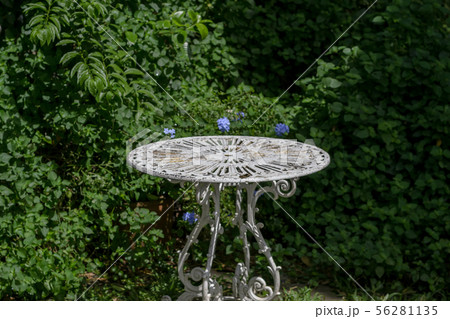 Vintage white table in garden. Vintage white table in garden. 56281135