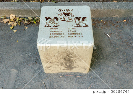 堀留児童公園 56284744