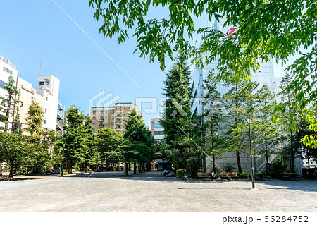 堀留児童公園 56284752