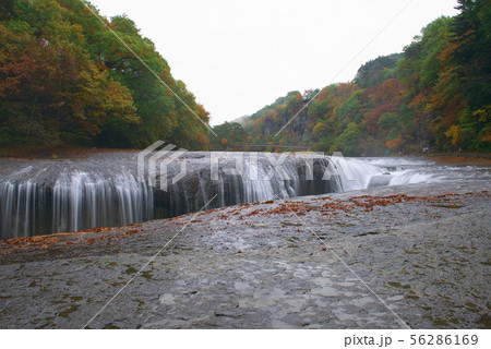 吹割の滝 吹割の滝 56286169