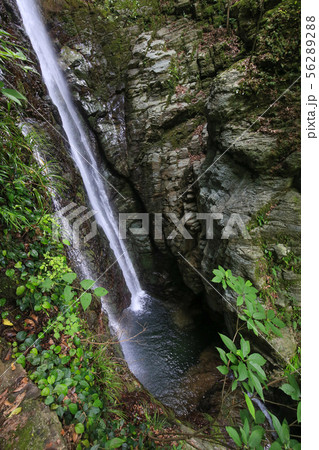 愛媛県大洲市 白滝公園 滝壺展望所からの風景 愛媛県大洲市 白滝公園 滝壺展望所からの風景 56289288