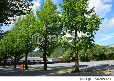 伊勢　神宮工作所 56289424