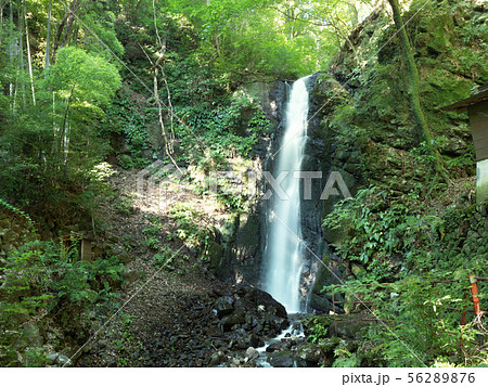 神奈川県湯河原町　不動滝 56289876