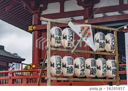 【浅草　浅草寺】 56295857