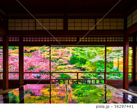 錦秋の瑠璃光院 錦秋の瑠璃光院 56297441