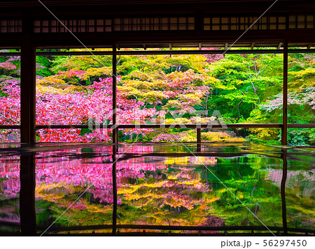錦秋の瑠璃光院 56297450