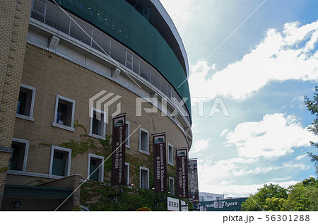 甲子園球場 56301288