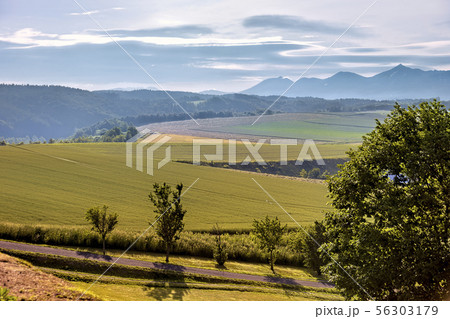 日の出公園展望台 (6月　晴れ　早朝) 56303179