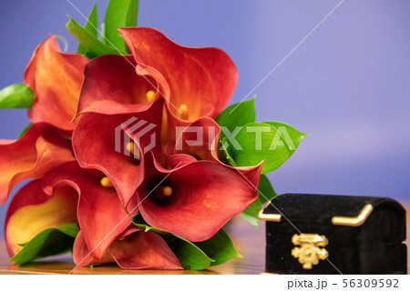 Box with wedding rings and bouquet of red flowers Box with wedding rings and bouquet of red flowers 56309592
