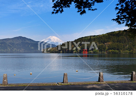 【箱根】芦ノ湖と富士山（芦ノ湖湖畔） 56310178