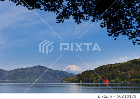 【箱根】芦ノ湖と富士山(芦ノ湖湖畔) 【箱根】芦ノ湖と富士山(芦ノ湖湖畔) 56310179