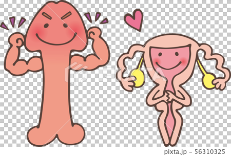 Genital couple 56310325