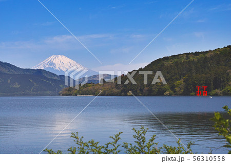 【箱根】芦ノ湖と富士山（芦ノ湖湖畔） 56310558