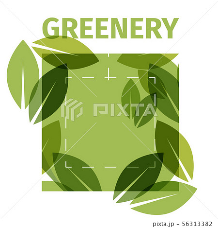 Color of the year . Greenery beautiful trendy background Color of the year . Greenery beautiful trendy background 56313382
