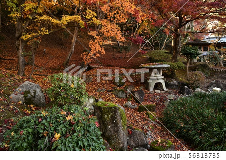 尾関山公園 秋 広島県三次市 尾関山公園 秋 広島県三次市 56313735