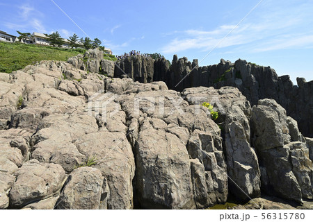 東尋坊(福井県坂井市) 東尋坊(福井県坂井市) 56315780