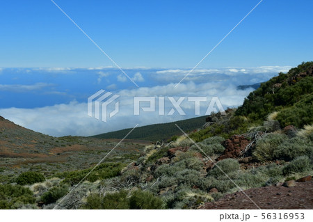 スペイン領、カナリア諸島、テネリフェ島、テイデ国立公園 スペイン領、カナリア諸島、テネリフェ島、テイデ国立公園 56316953