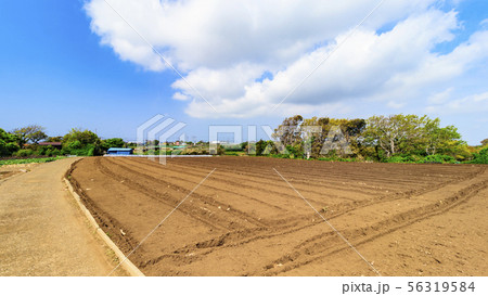 畑（春） 56319584