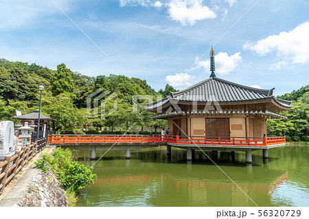 安倍文殊院 56320729