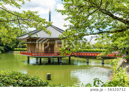 安倍文殊院 56320732
