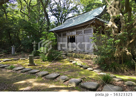 雄島 大湊神社(福井県坂井市) 雄島 大湊神社(福井県坂井市) 56323325