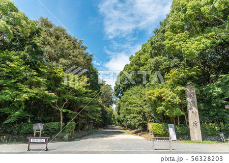 橿原神宮 56328203