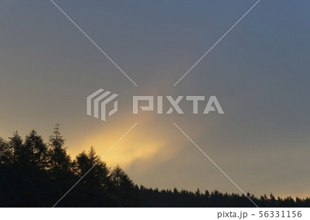 オレンジの光が残り森がシルエットになった夕暮れの風景 56331156