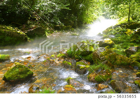 円原川　日本一の伏流水３ 56335655