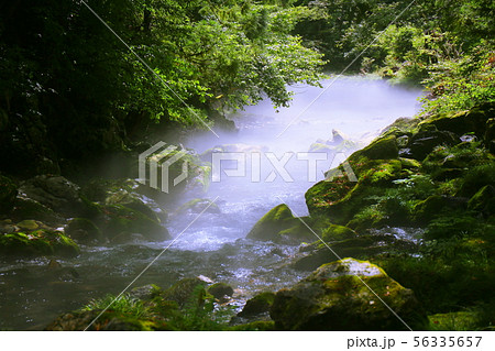 円原川 日本一の伏流水2 円原川 日本一の伏流水2 56335657