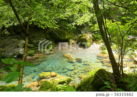 円原川湧き水 円原川湧き水 56335662