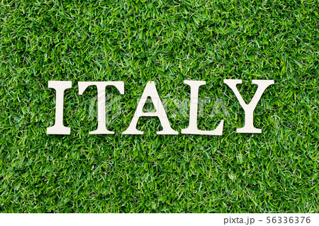 Wood alphabet letter in word italy on green grass Wood alphabet letter in word italy on green grass 56336376