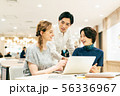 ビジネス グローバル ダイバーシティ 打合せ 56336967
