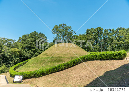 高松塚古墳 高松塚古墳 56341775