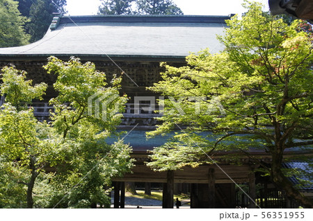 永平寺 56351955