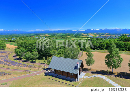 【北海道】美瑛 北西の丘からの眺望 【北海道】美瑛 北西の丘からの眺望 56358528