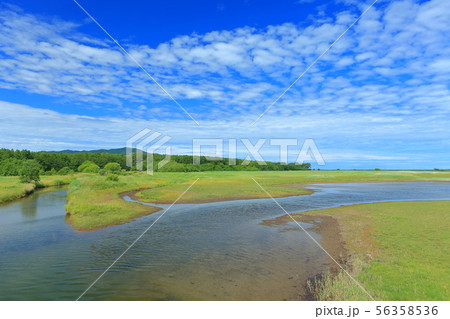 【北海道】夏のサロマ湖キムアネップ崎 56358536